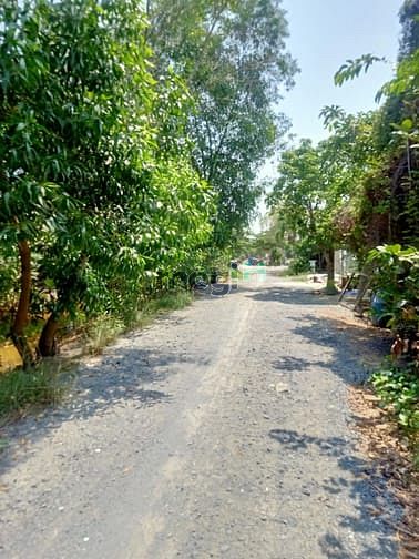Hình ảnh Cần bán đất mặt tiền đường 354 - xã Tân An Hội - Củ Chi