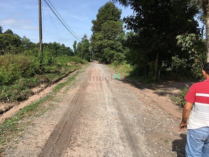 Hình ảnh Cần bán nhà vườn xã Nhuận Đức - Củ Chi