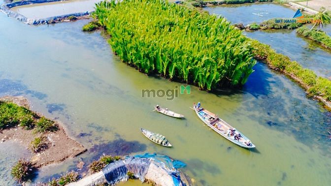 Hình ảnh Chỉ 890 triệu sở hữu lô đất đường 7m5 Mỹ Khê Angkora Park