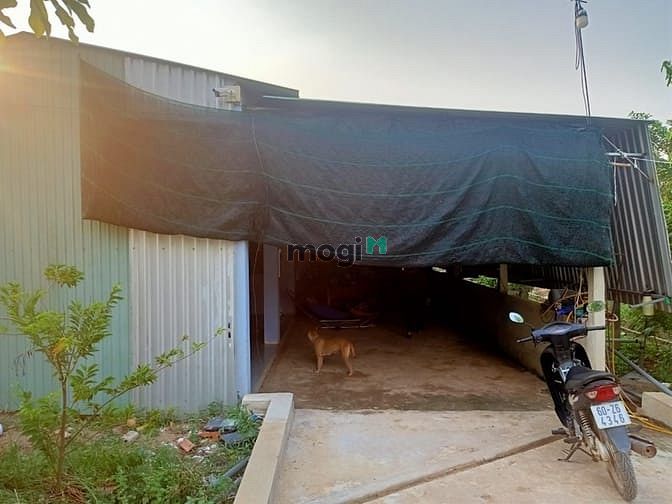 Hình ảnh Cần bán nhà vườn 2 mặt tiền - xã Phước Thạnh - Củ Chi