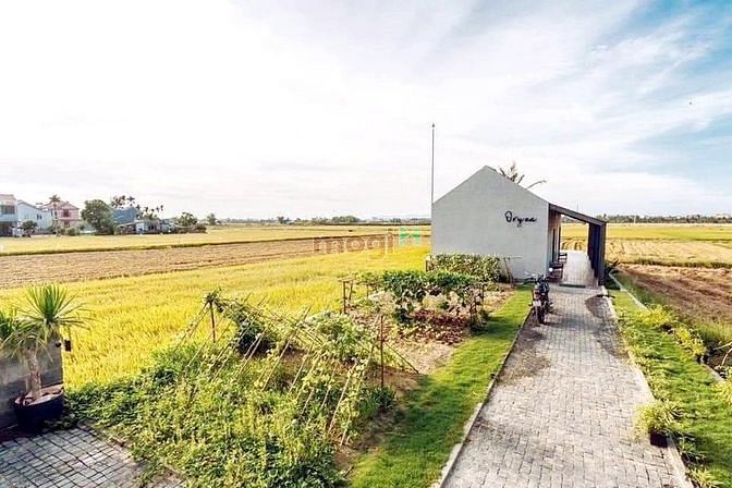 Hình ảnh Đất vườn Phước Khánh đường ô tô 7m,1 sẹc Phạm Thái Bường giá rẻ