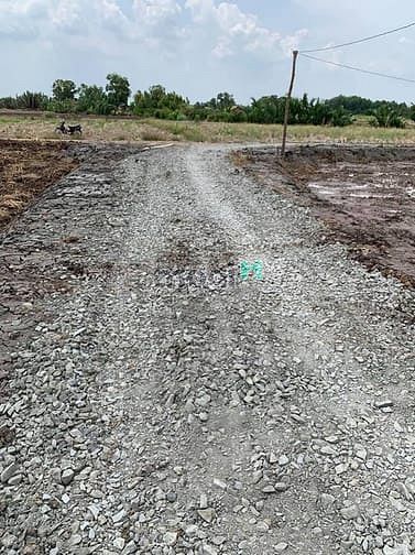 Hình ảnh Đất vườn Phước Khánh đường ô tô 7m,1 sẹc Phạm Thái Bường giá rẻ