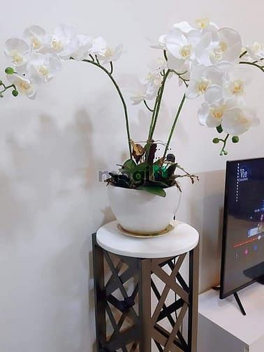 Hình ảnh Nhà biệt thự đường Ba Vân, 6 x 19m (100m2), 5 tầng, có thang máy,