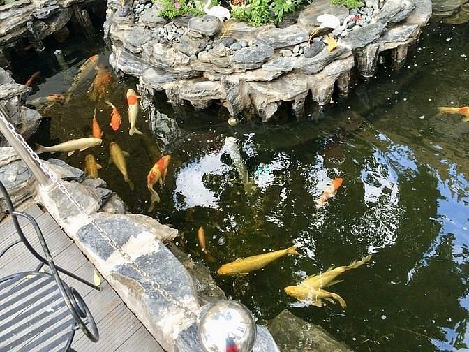 Hình ảnh Bán nhà MT Cù chính lan, phường 7, TB