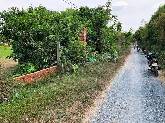 Hình ảnh Cần bán đất xã Phước Hiệp - Củ Chi