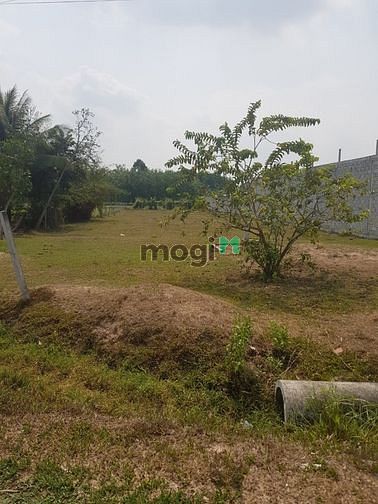 Hình ảnh Cần bán đất 1/ đường Trương Thị Kiện - xã Thái Mỹ - Củ Chi