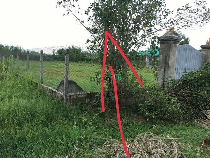 Hình ảnh Cần bán đất xã Phước Thạnh - Củ Chi