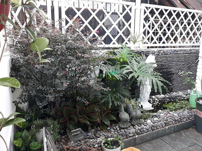 Hình ảnh Hẻm xe hơi Trần Mai Ninh P.11 Q.Tân Bình