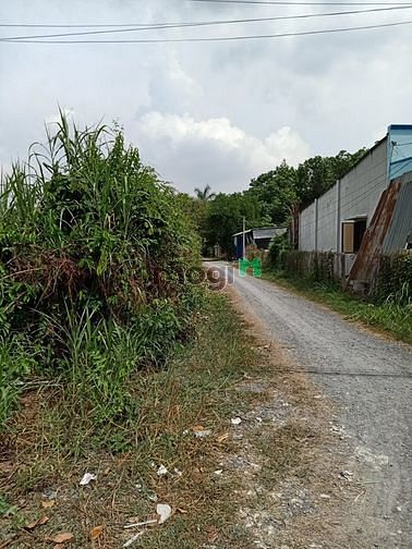 Hình ảnh Cần bán đất mặt tiền đường Cây Trắc - xã Phú Hòa Đông - Củ Chi