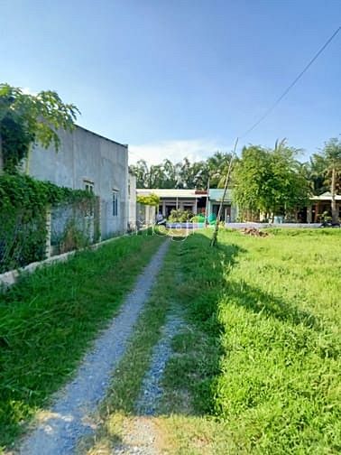 Hình ảnh Cần bán đất 1/ đường An Nhơn Tây - xã An Nhơn Tây - Củ Chi