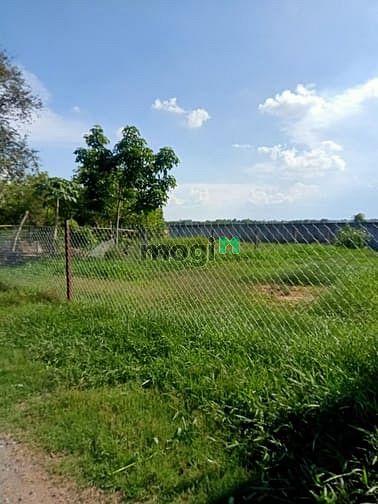 Hình ảnh Cần bán đất 1/ đường An Nhơn Tây - xã An Nhơn Tây - Củ Chi
