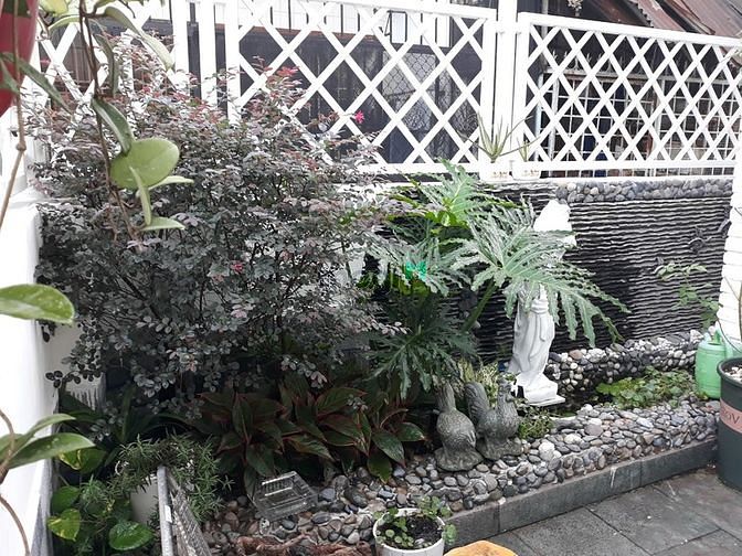Hình ảnh Hẻm Xe Hơi Phan Sào Nam P.11 Q.Tân Bình
