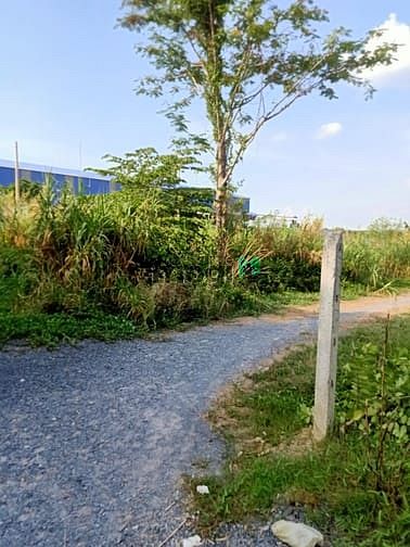 Hình ảnh Cần bán đất 1/ đường Trần Thị Hải - xã Tân An Hội - Củ Chi