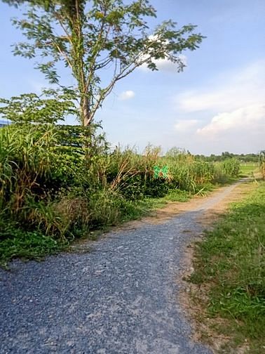 Hình ảnh Cần bán đất 1/ đường Trần Thị Hải - xã Tân An Hội - Củ Chi