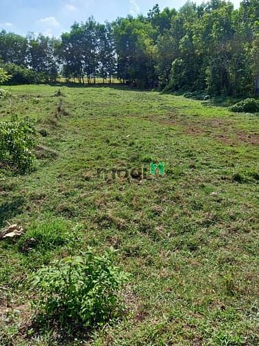 Hình ảnh Cần bán đất đường Nguyễn Thị Ngoạn - xã Trung Lập Thượng - Củ Chi