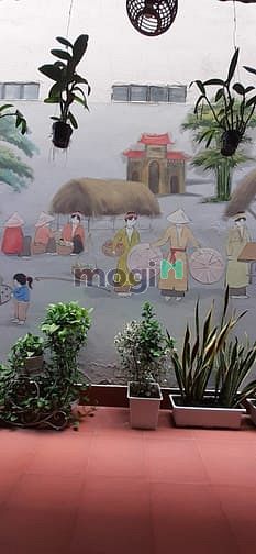 Hình ảnh Hẻm xe hơi Lạc Long Quân P.9 Q.Tân Bình
