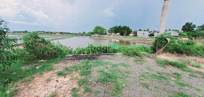 Hình ảnh Cần nhượng 649m2 đất thổ cư xã Phú Hữu cách Cát Lái 1km
