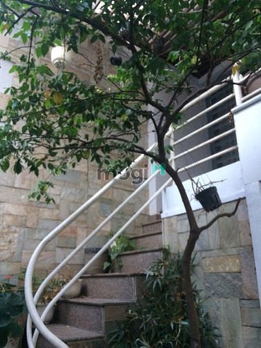 Hình ảnh cho thuê nhà mặt tiền Trường Sơn ngay cửa ngõ sân bay Tân Sơn Nhất.