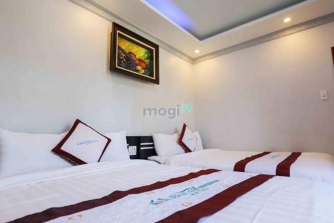 Hình ảnh Hẻm xe hơi Phổ Quang P.2 Q.Tân Bình
