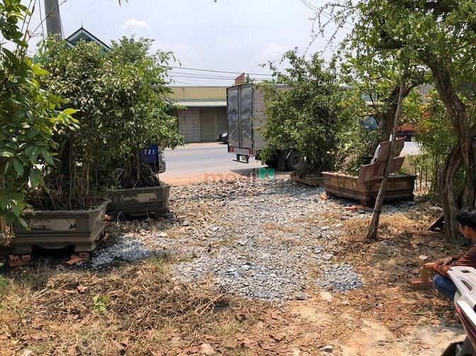 Hình ảnh Cần bán đất mặt tiền Tỉnh Lộ 8 - xã Bình Mỹ - Củ Chi