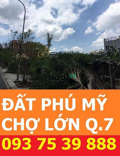 Hình ảnh Bán đất nền phú mỹ chợ lớn. 5x16 = 80m2, đường 20m, hướng Đông - Nam.