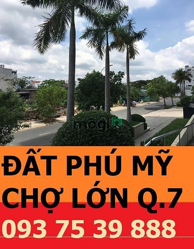 Hình ảnh Bán đất nền phú mỹ chợ lớn. lô góc, đường 20m, hướng Bắc.