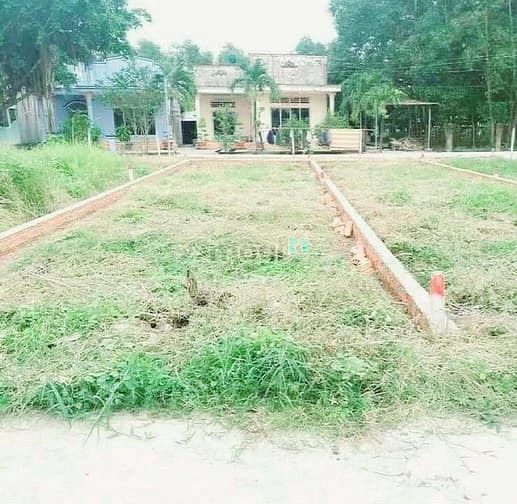Hình ảnh Cần bán gấp 100m2 thổ cư ngay đường Vành Đai 3 giá Trang MB66.COM Chính Thức - MB 66 Uy Tín