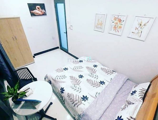 Hình ảnh Cho thuê Trang Chủ MB66.COM / Đăng Ký Tặng 66K đẹp giá rẻ ngay đường Quang Trung - Tân Bình