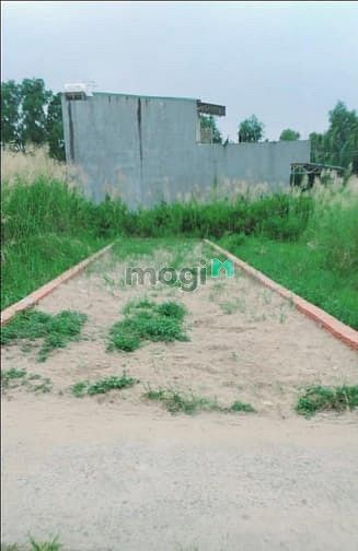 Hình ảnh Cần bán 82m2 đường ô tô xã Phú Hữu giá rẻ