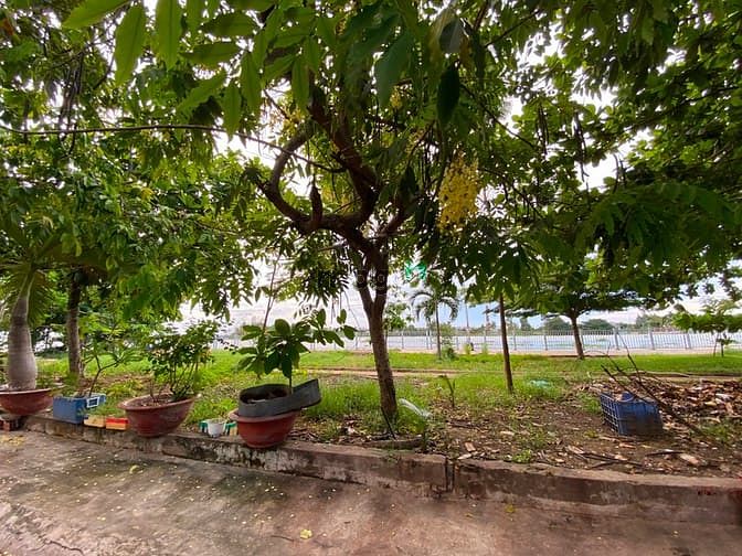 Hình ảnh Đất đẹp VIEW Sông Sài Gòn, đường 12m Bình Lợi, Q. Bình Thạnh, DT 250m2