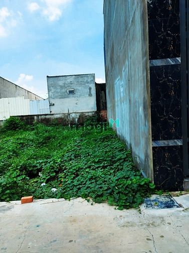 Hình ảnh Đất kp3 trảng dài biên hòa đồng nai giá 900 triệu