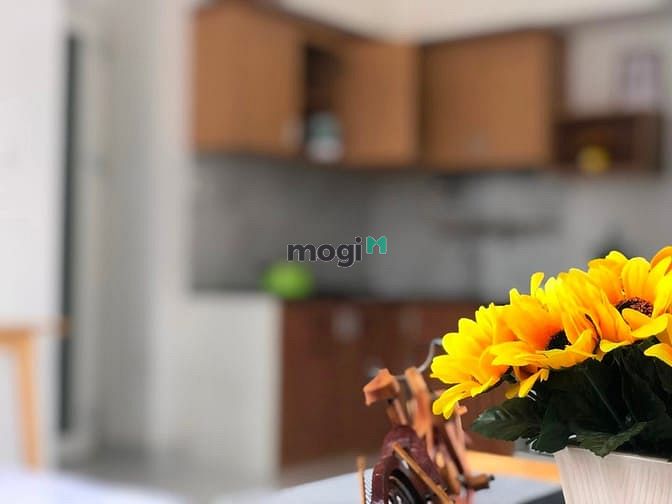 Hình ảnh Cho Thuê Phòng Stuodio lớn 2 cửa sổ FULL Nội Thất Khu Vực Bình An, Q2