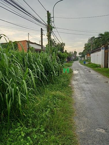 Hình ảnh Cần bán đất mặt tiền đường số 34 - xã Tân Thông Hội - Củ Chi