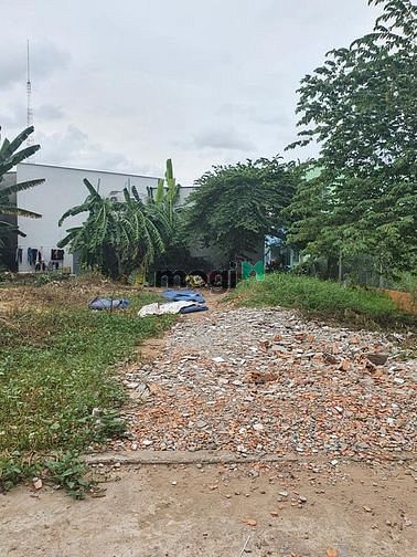 Hình ảnh Bán Nền hẻm 246 Tầm Vu, P.Hưng Lợi, Q.Ninh Kiều, Tp Cần Thơ