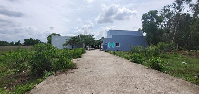 Hình ảnh Bán đất gần chợ Đại Phước 100m2 đường ô tô giá Trang MB66.COM Chính Thức - MB 66 Uy Tín