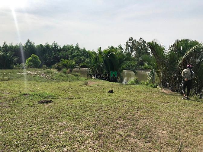 Hình ảnh Ngộp cần bán gấp đất MT song Nhơn Trạch, có thổ 2,3ty/1500m,sổ riêng