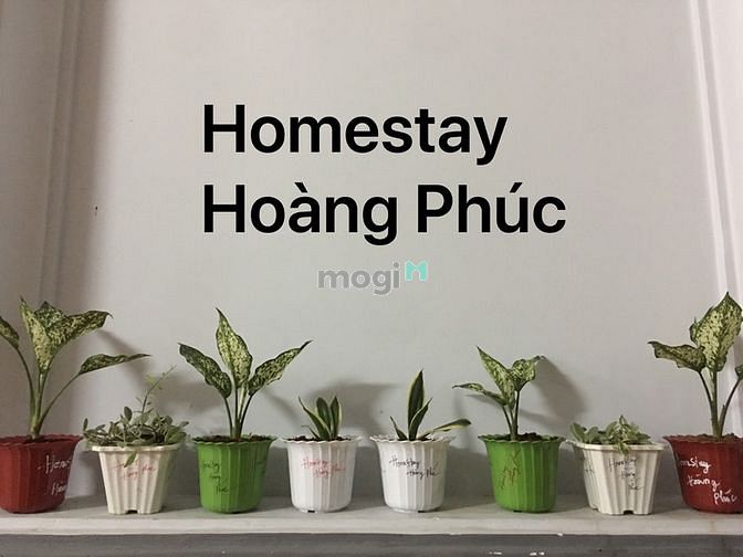 Hình ảnh Hệ thống KTX Q4 Cao Cấp trọn gói 800K