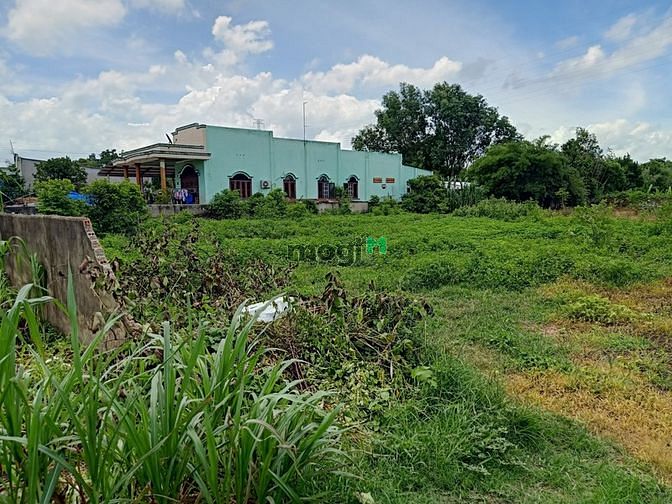 Hình ảnh Cần bán đất xã Phước Thạnh - Củ Chi