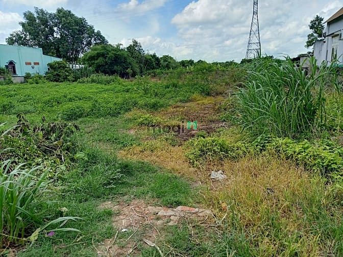 Hình ảnh Cần bán đất xã Phước Thạnh - Củ Chi