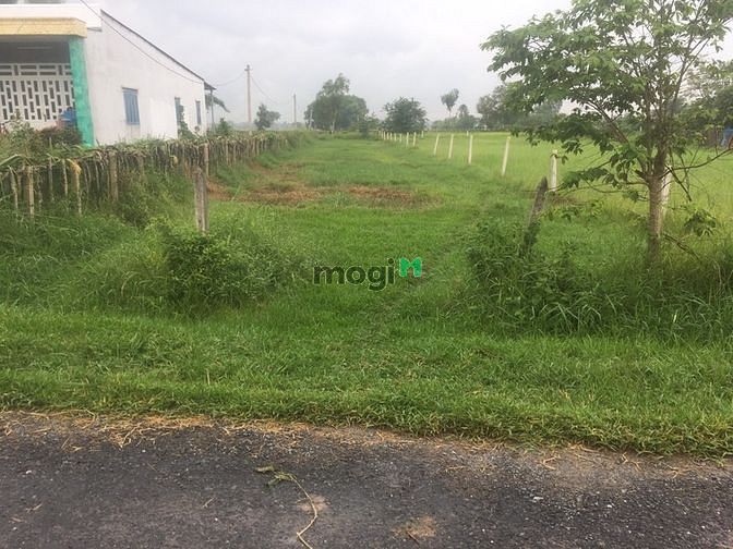 Hình ảnh Cần bán đất xã Trung Lập Thượng - Củ Chi