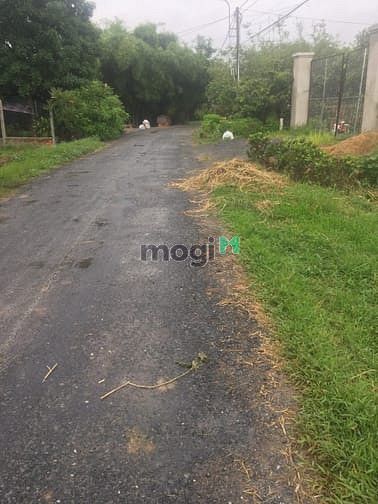 Hình ảnh Cần bán đất xã Trung Lập Thượng - Củ Chi
