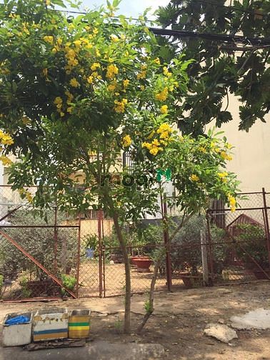 Hình ảnh Bán đất MT đường Số 17B đối diện Aeon Bình Tân cách chỉ vài bước chân