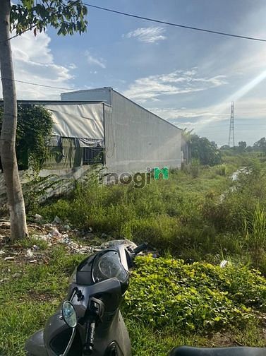 Hình ảnh Bán 250m2 đất thổ cư 100% mặt tiền đg Huỳnh Thị Nở, Thường Thạnh. CT