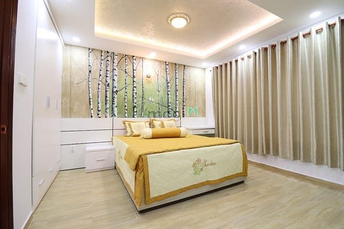 Hình ảnh Hẻm xe hơi Lý Thường Kiệt P.9 Q.Tân Bình