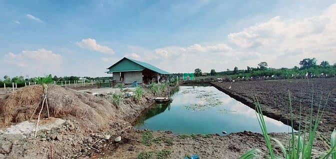 Hình ảnh Cần bán đất vườn Nhơn Trạch 1000m2 đường ô tô cách Sài Gòn 15 phút.