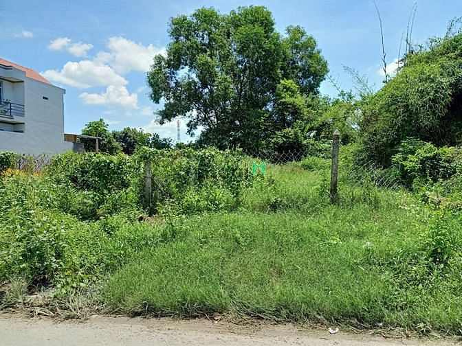 Hình ảnh Cần bán đất mặt tiền đường Lê Thị Đảo - xã Tân Thạnh Đông - Củ Chi