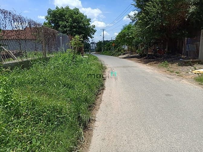 Hình ảnh Cần bán đất mặt tiền đường Lê Thị Đảo - xã Tân Thạnh Đông - Củ Chi