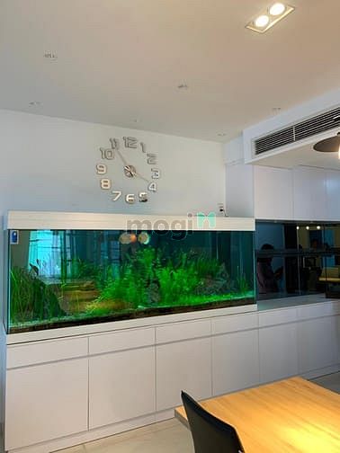 Hình ảnh Cho thuê siêu phẩm Green Valley cực đẹp, nội thất cao cấp 100% mới