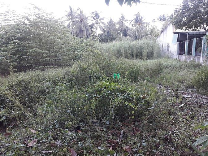 Hình ảnh Bán nền đường Huỳnh Thị Nở P. Thường Thạnh, Q. Cái Răng, Tp Cần Thơ