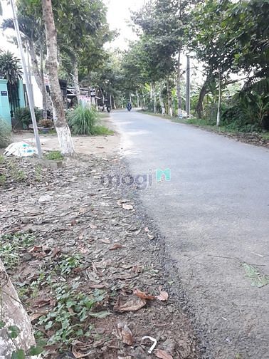 Hình ảnh Bán nền đường Huỳnh Thị Nở P. Thường Thạnh, Q. Cái Răng, Tp Cần Thơ